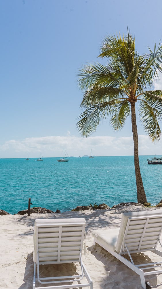 Best Things to do in Airlie Beach & Whitsundays - Ultimate Travel Guide 31 Coral Sea Marina Resort