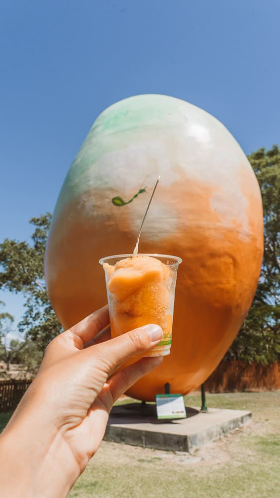 Top 10 Things to do in Bowen, Queensland 3 Mango sorbet at the Big Mango