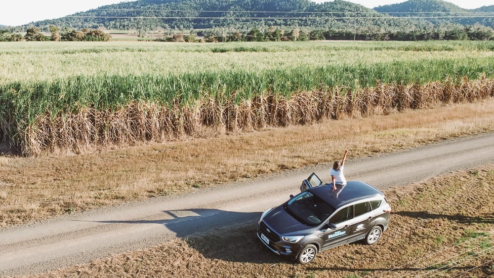Hydeaway Bay Guide - Whitsundays Hidden Gem 2 Sugarcane fields in the Whitsundays