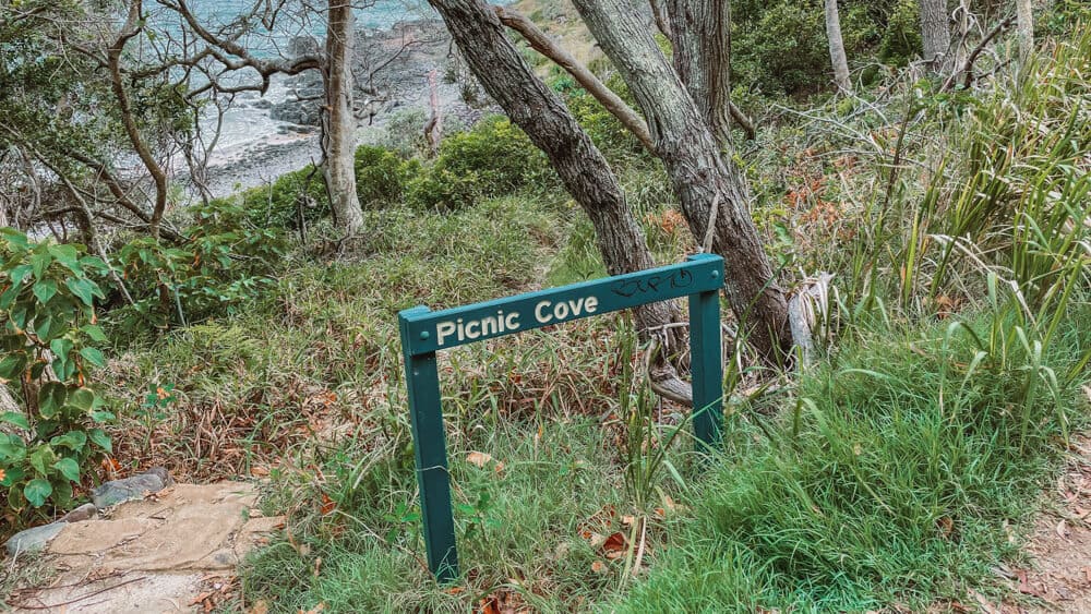 Noosa Fairy Pools - A Guide to Noosa's Hidden Gem 11 Sign saying Picnic Cove in the Noosa National Park