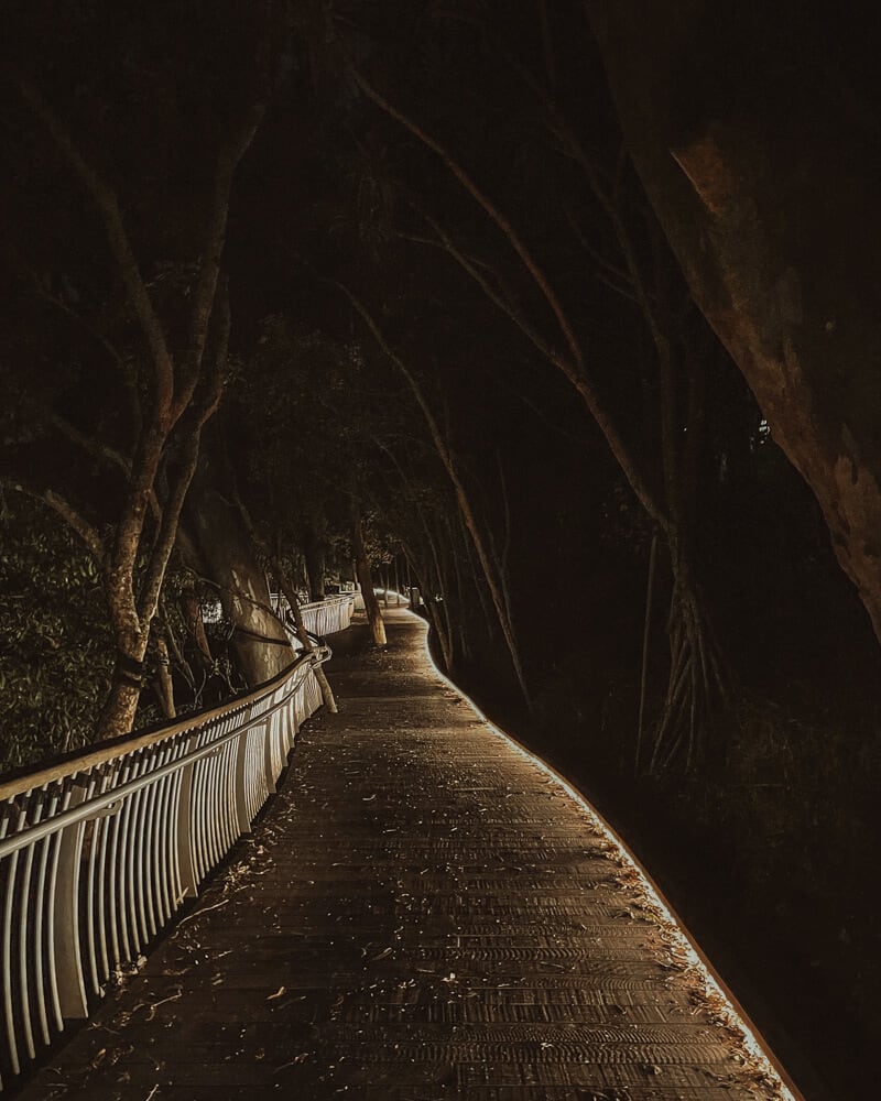 30 Unmissable Things to do in Noosa 21 Going for a walk is a good thing to do in Noosa