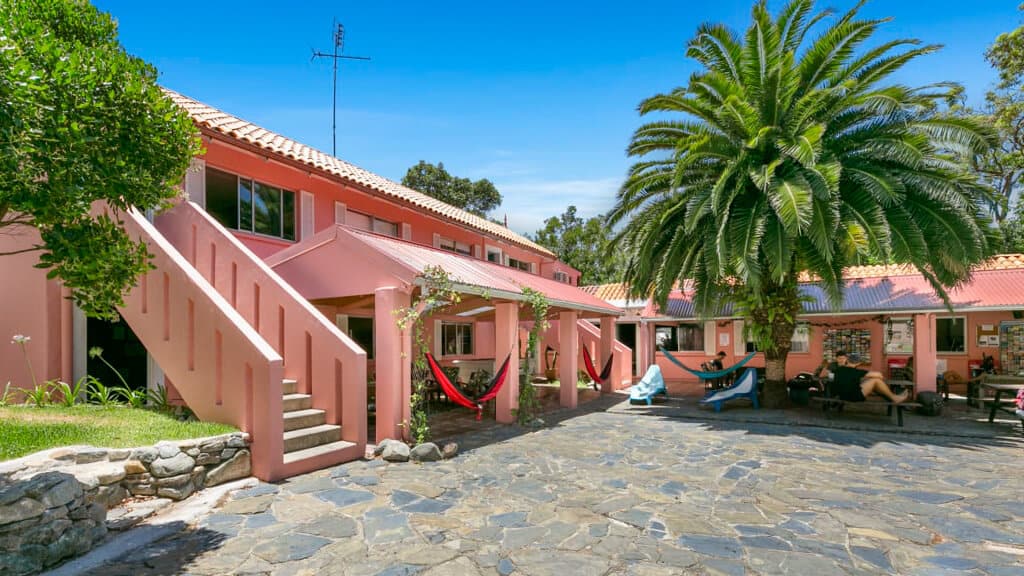 5 Best Hostels in Noosa 6 Pink house with large palm tree is Dolphin's Beach House a hostel in Noosa