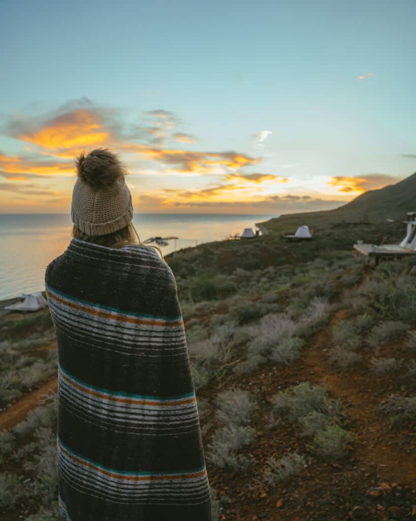 Grey Whales and Glamping with Magdalena Bay Whales 7 Grey Whales and Glamping with Magdalena Bay Whales