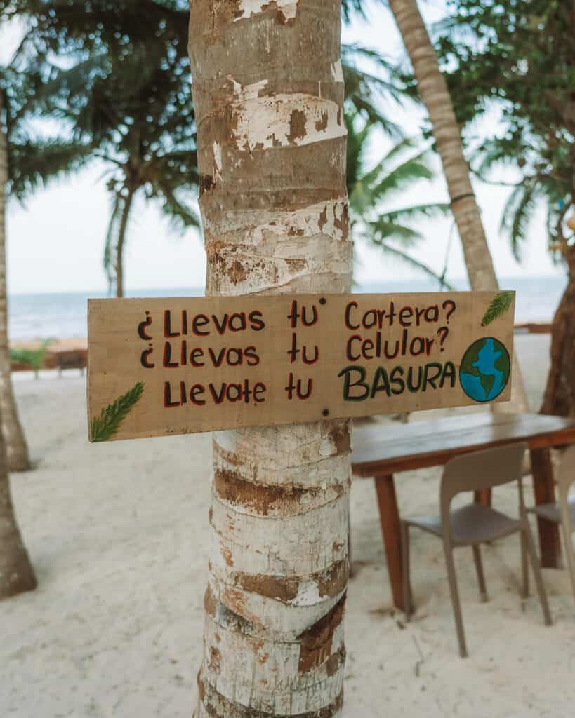 Glamping at Hotel Cielo y Selva in the Sian Ka'an Biosphere Reserve 46 A painted sign on a palm tree in Spanish, encouraging guests to pick up their rubbish
