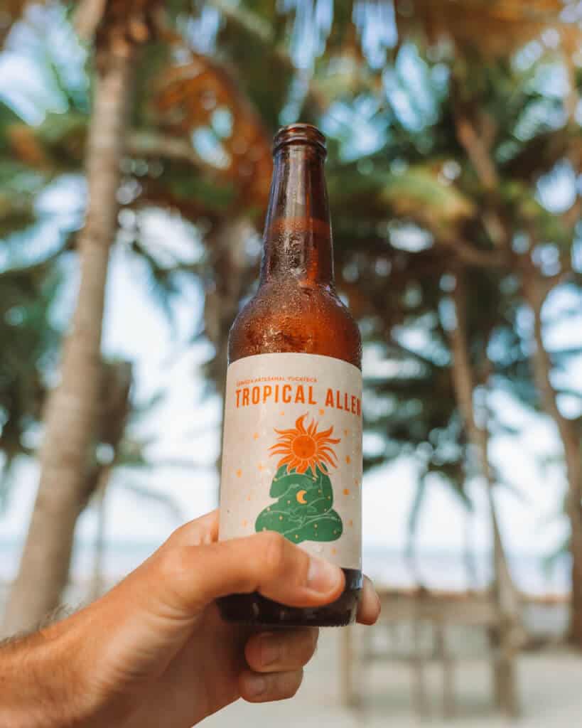 Glamping at Hotel Cielo y Selva in the Sian Ka'an Biosphere Reserve 34 A bottle of beer with the label Tropical Allen being held up against a palm tree