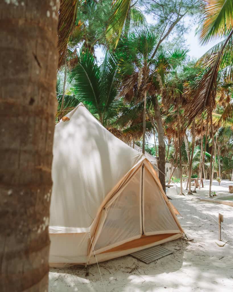 Glamping at Hotel Cielo y Selva in the Sian Ka'an Biosphere Reserve 13 A glamping tent beneath palm trees