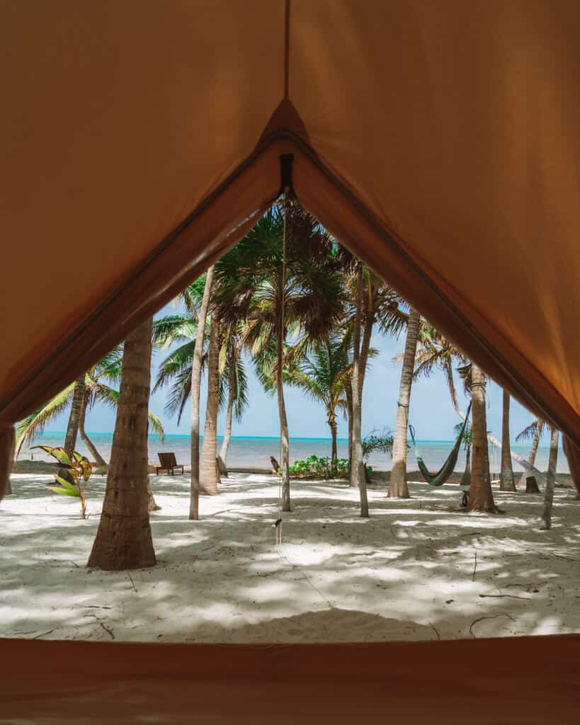 Glamping at Hotel Cielo y Selva in the Sian Ka'an Biosphere Reserve 11 View of palm trees from the door of a glamping tent at Hotel Cielo y Selva