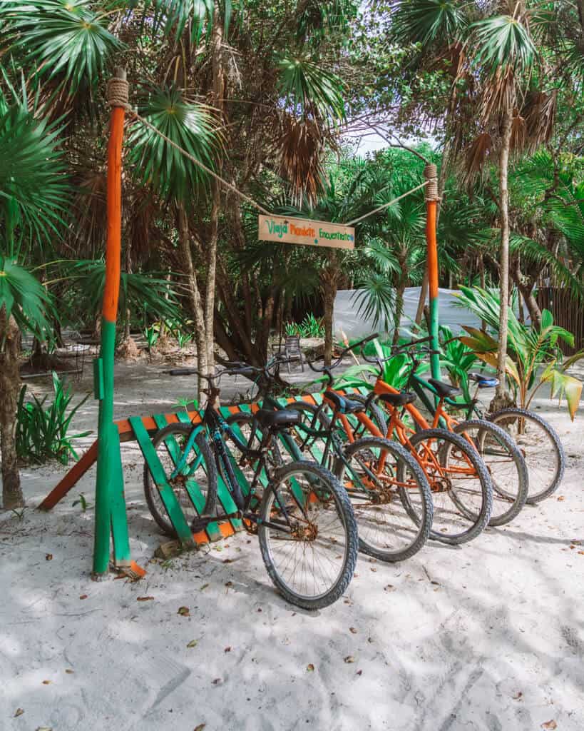 Glamping at Hotel Cielo y Selva in the Sian Ka'an Biosphere Reserve 41 Bicycles lined up in a holder at Hotel Cielo y Selva