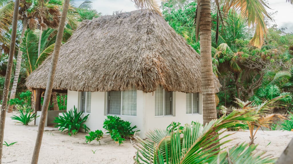 Glamping at Hotel Cielo y Selva in the Sian Ka'an Biosphere Reserve 21 A palapa style palm roofed cabin at Hotel Cielo y Selva