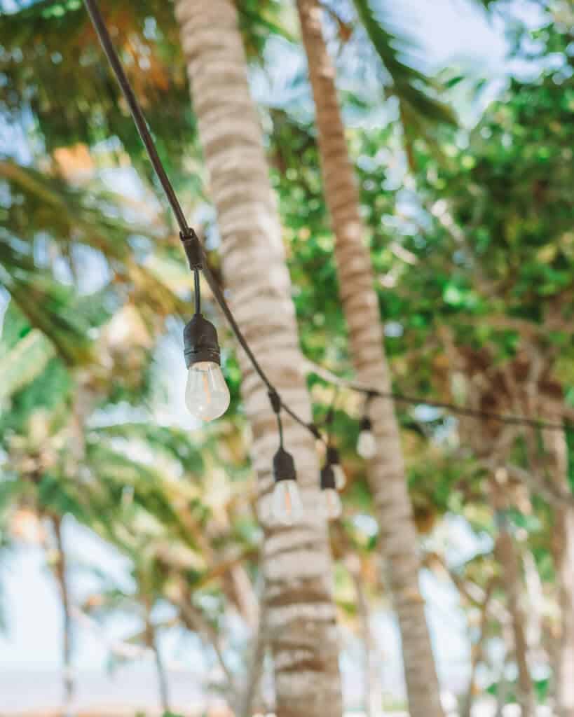 Glamping at Hotel Cielo y Selva in the Sian Ka'an Biosphere Reserve 29 Glass string lights in focus against a blurred background of palm trees