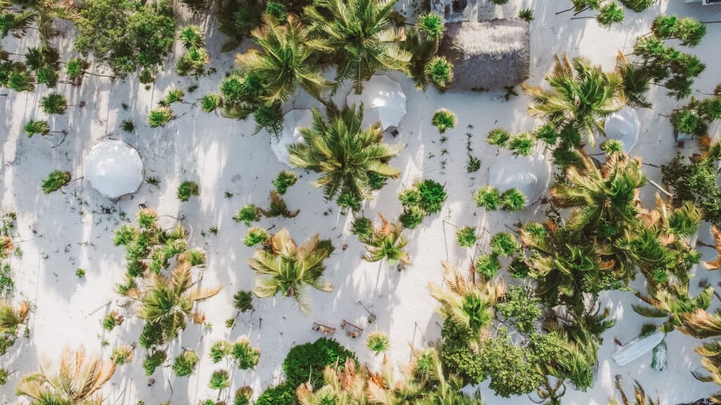 Glamping at Hotel Cielo y Selva in the Sian Ka'an Biosphere Reserve 3 A drone shot of Hotel Cielo y Selva from above