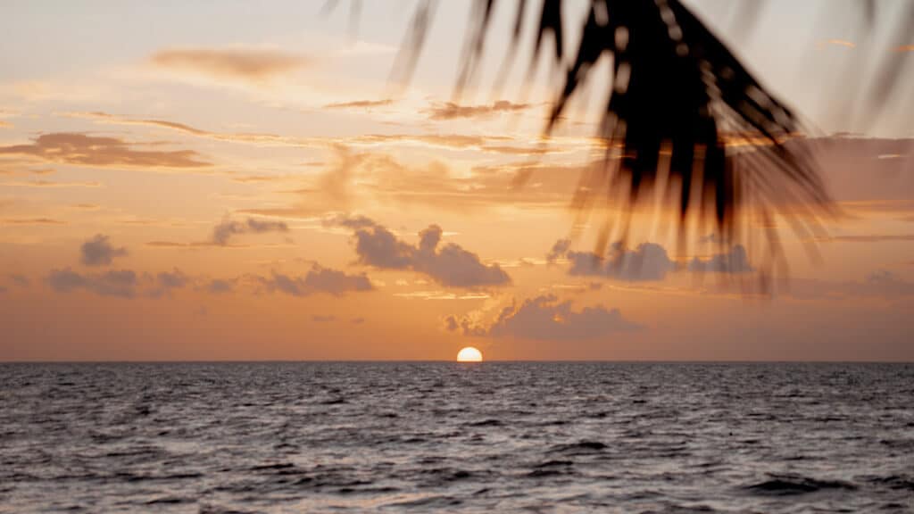 Glamping at Hotel Cielo y Selva in the Sian Ka'an Biosphere Reserve 4 Sun rising over the horizon in the ocean