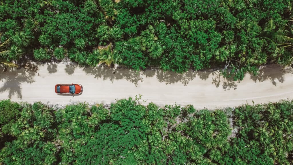 Glamping at Hotel Cielo y Selva in the Sian Ka'an Biosphere Reserve 50 Drone shot of a red car driving on a dirt road lined with green palms