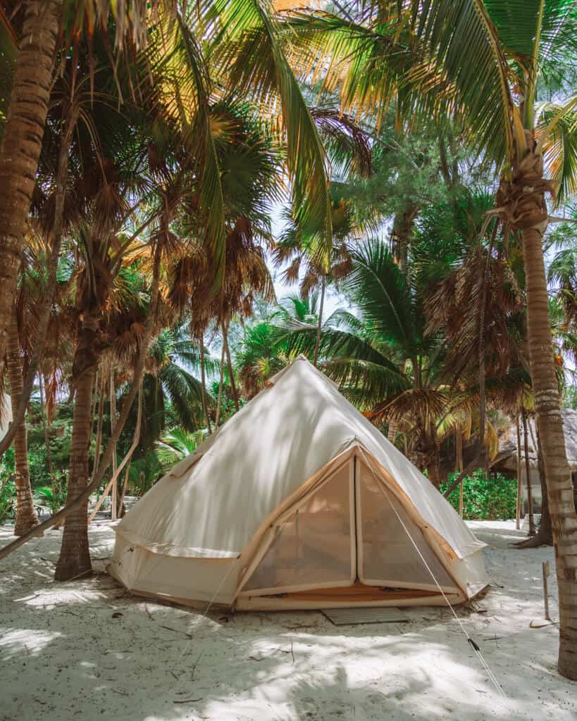 Glamping at Hotel Cielo y Selva in the Sian Ka'an Biosphere Reserve 53 Glamping tent underneath palm trees