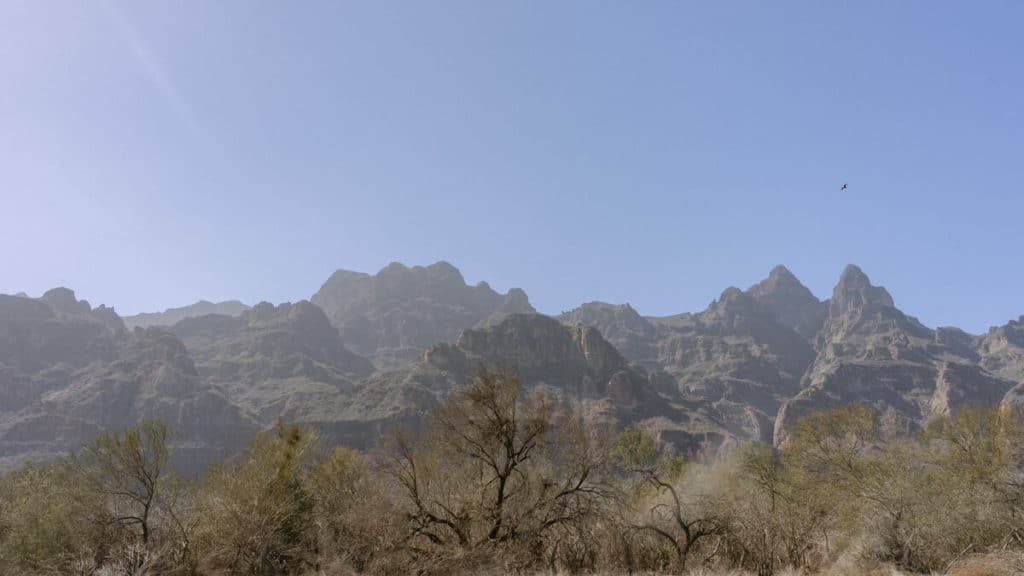 Tabor Canyon, Loreto Hiking Guide 2 A hazy morning view of the dramatic Sierra de la Giganta mountain range in Baja California Sur, with jagged peaks rising behind sparse desert vegetation and a lone bird soaring in the clear blue sky.