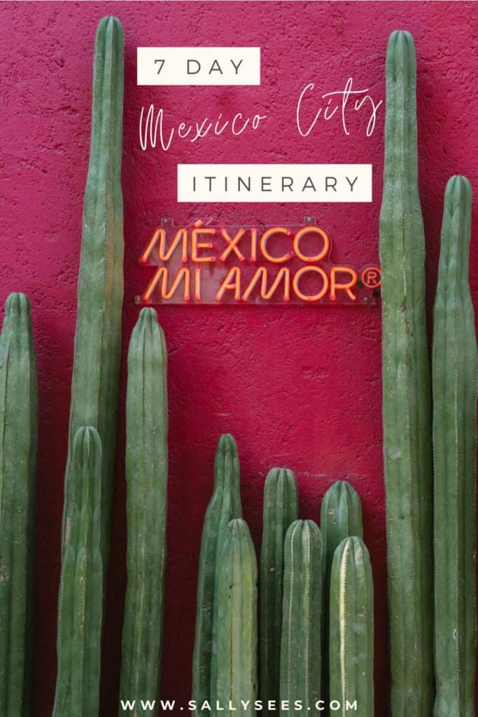7 Day Mexico City Itinerary Pinterest pin