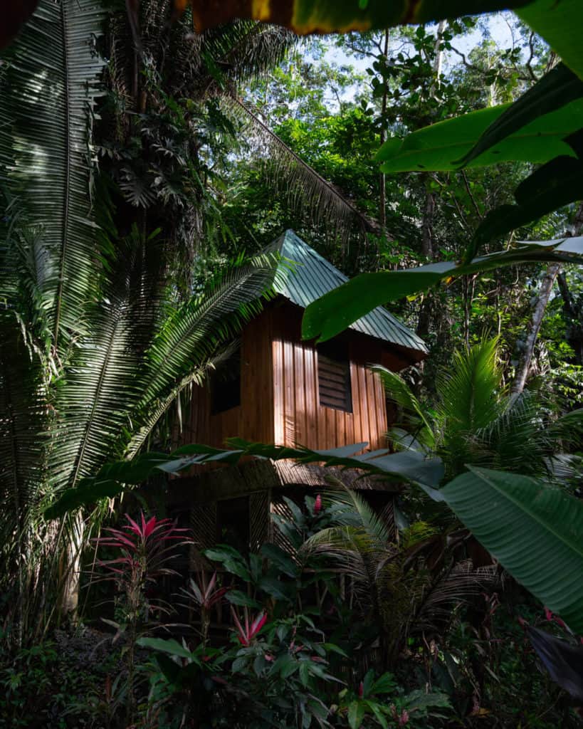 10 Top Things to do in Belize: Your Belize Bucket List 15 A charming wooden treehouse in the jungle of San Ignacio, Belize, nestled among dense tropical foliage and vibrant flowering plants, partially bathed in dappled sunlight.