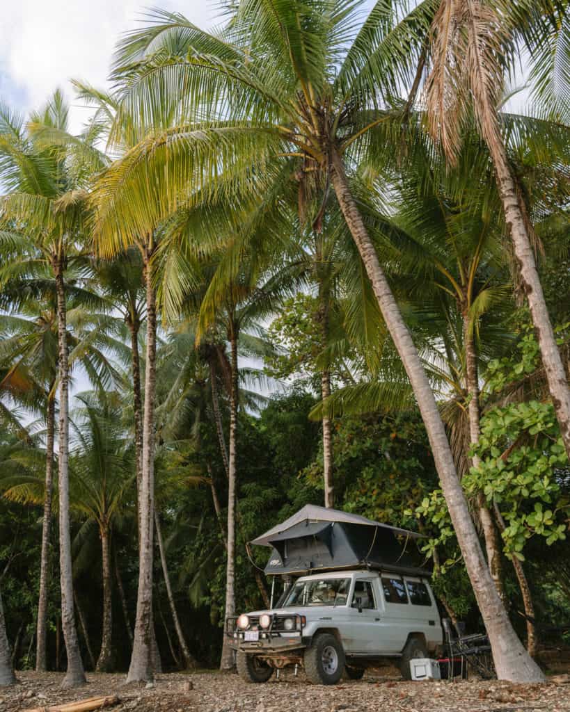A front on shot of a white Toyota Landcruiser from Nomad America parked under a grove of palm trees with a rooftop tent set up