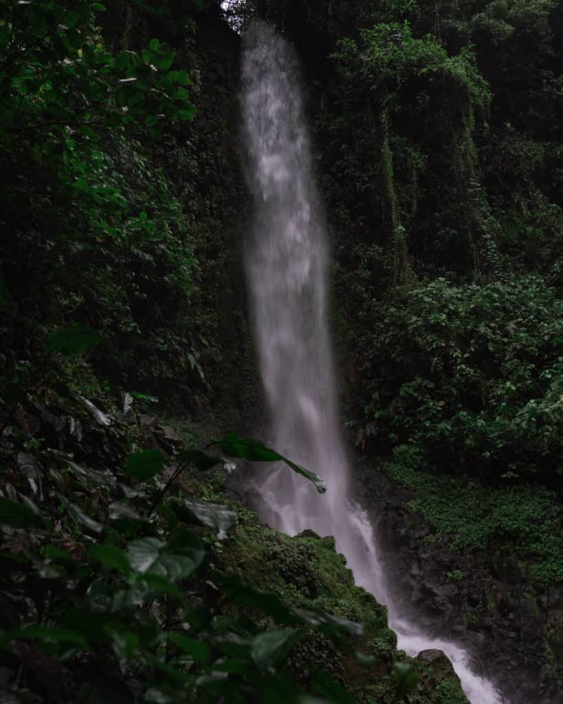 Bajos del Toro Travel Guide: Costa Rica's Waterfall Wonderland 5 A strong waterfall falling into a river below in a thick, green rainforest