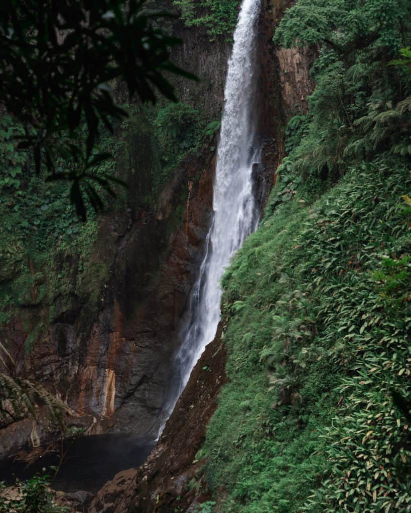 Bajos del Toro Travel Guide: Costa Rica's Waterfall Wonderland 6 A side view of Catarata del Toro in Bajos del Toro, a thundering single drop waterfall, tumbling into a mossy canyon, with vines and greenery growing on the walls.