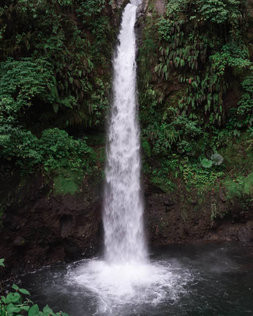 Bajos del Toro Travel Guide: Costa Rica's Waterfall Wonderland 8 A powerful single drop waterfall dropping into a pool with lush greenery all around it