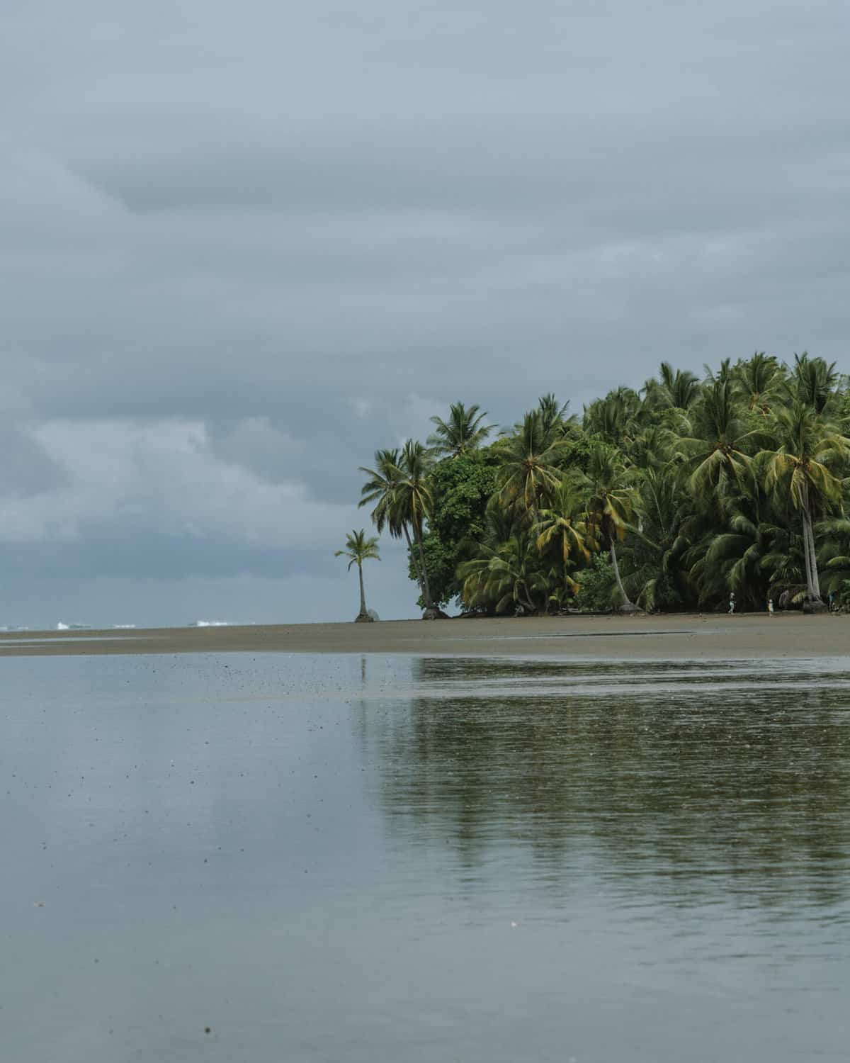 19 Wonderful Things to Do in Dominical Costa Rica