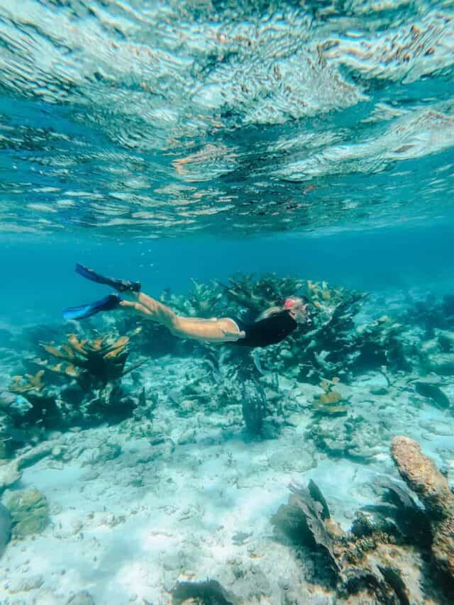 10 Top Things to do in Belize: Your Belize Bucket List 6 Sally snorkeling over coral formations in the Belize Barrier Reef, surrounded by vibrant marine life and crystal-clear water.