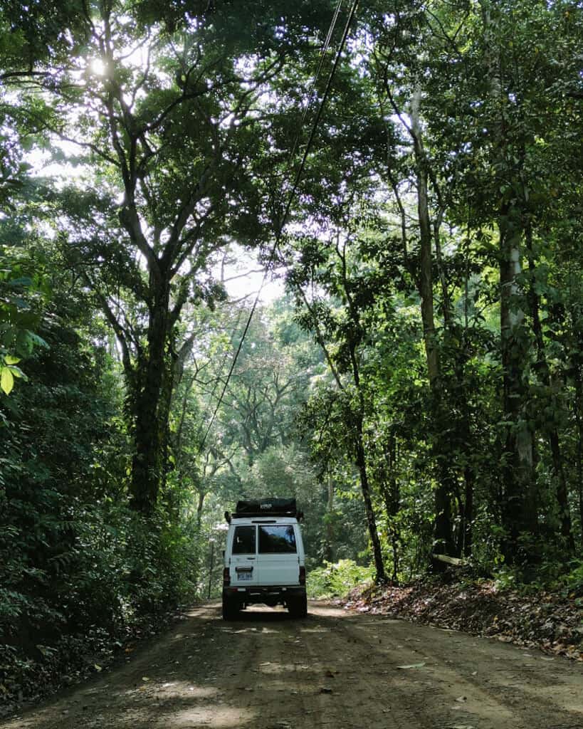 A white Toyota Landcruiser driving on a dirt road away from the camera through dense green jungle with sunlight filtering through the canopy