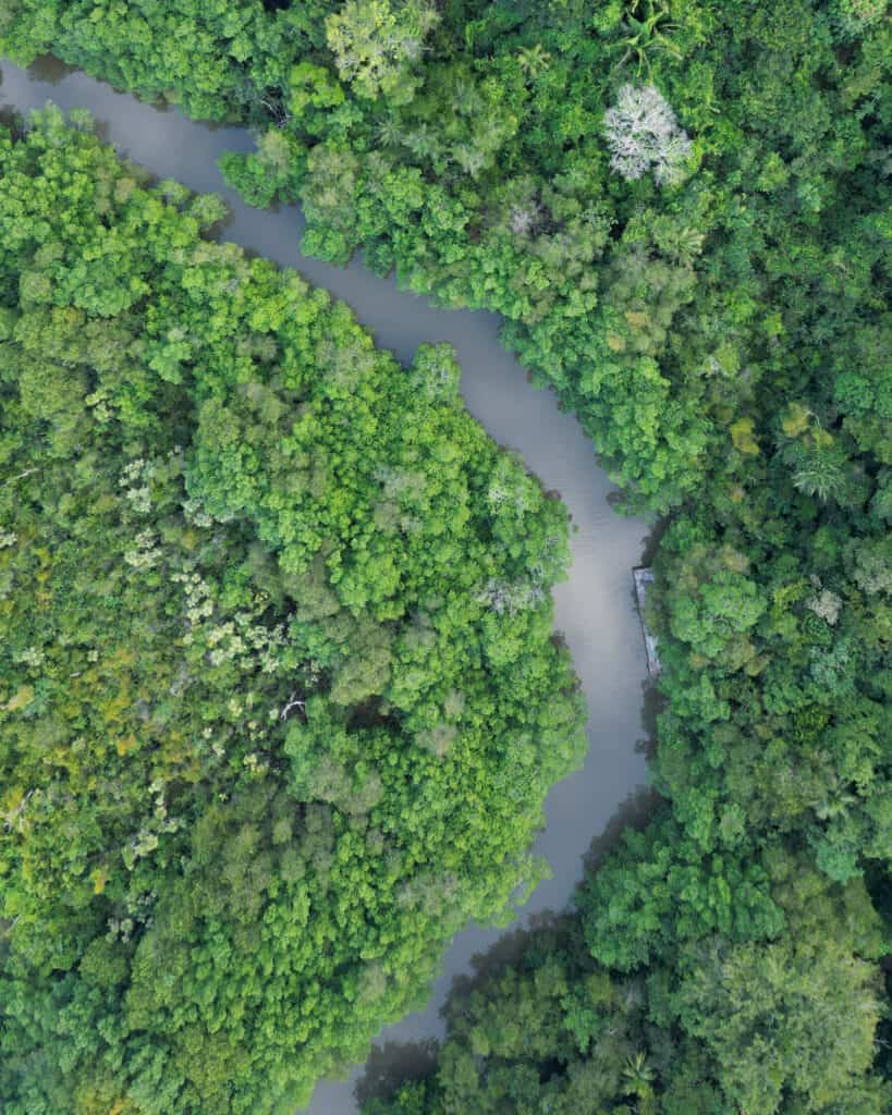 12 Best Things to Do in Drake Bay, Costa Rica 28 An aerial drone shot of a narrow waterway winding through lush forest and mangroves in Sierpe
