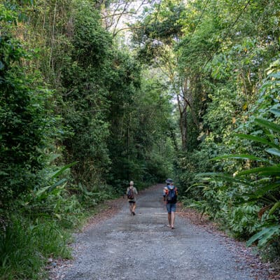 Hiking in Manuel Antonio National Park