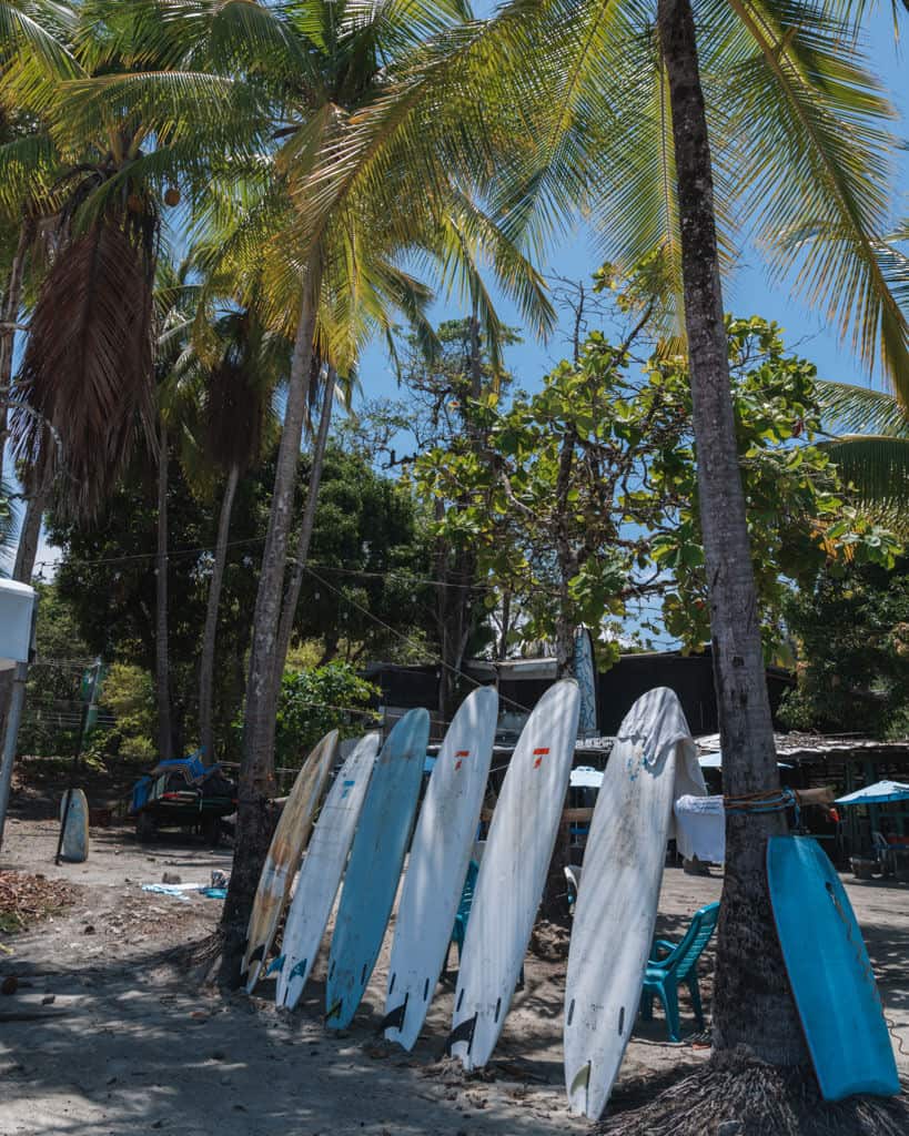 A row of surfboards propped up against a sleeper tied between two palm trees on the beach in Manuel Antonio