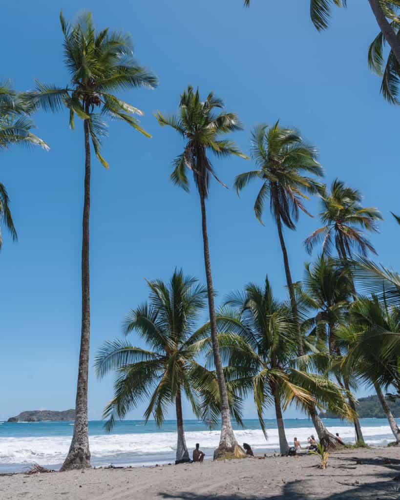 The shoreline of Playa Espadilla Norte in Manuel Antonio, with palm trees of varying heights lining the sand, with small waves crashing behind and an offshore island in the distance