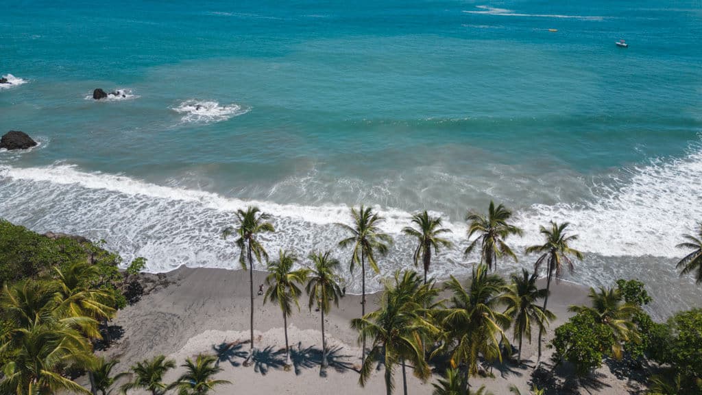 An aerial shot of a beach in Manuel Antonio, with a line of tall palm trees on the sand, and an expanse of blue ocean in the distance