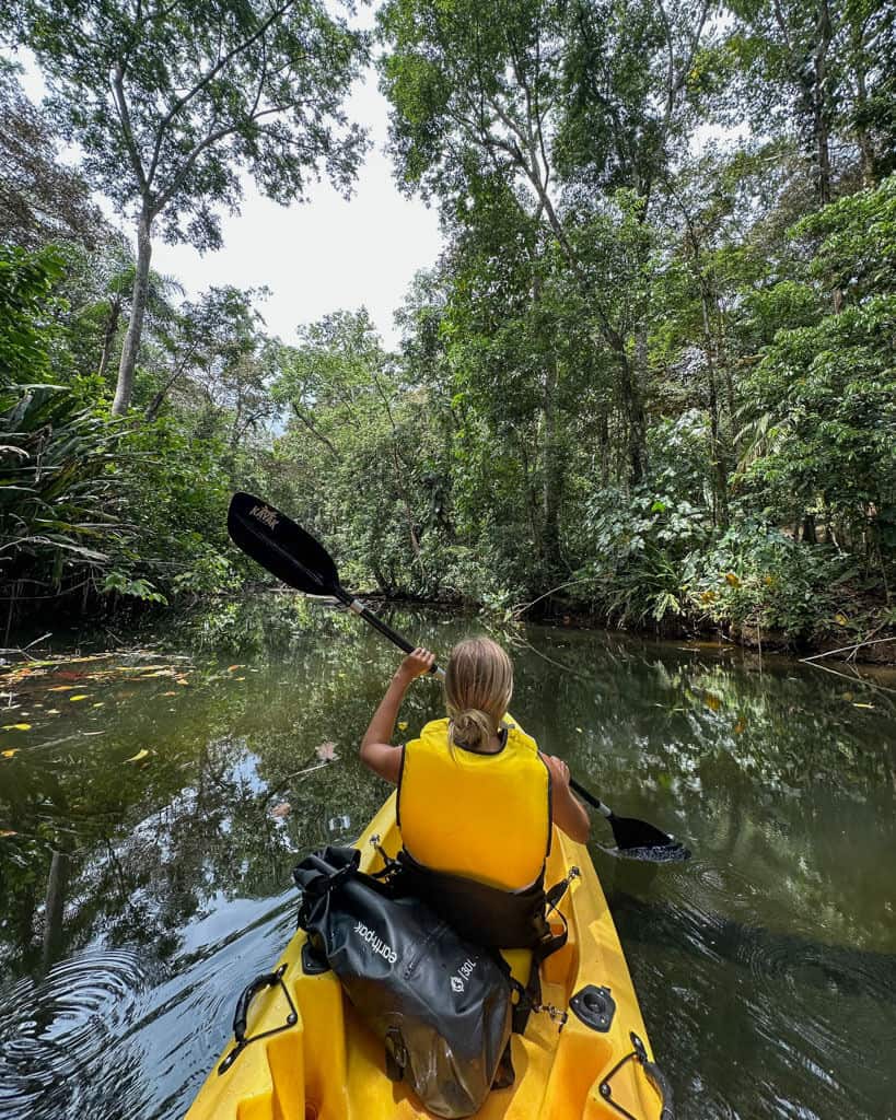 Sally sitting in the front of a yellow kayak with a yellow life jacket on, paddling through a river with mangroves and rainforest lining the banks