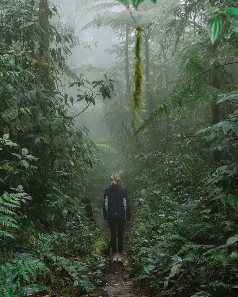 Sally walking through a foggy, lush trail in the Monteverde Cloud Forest