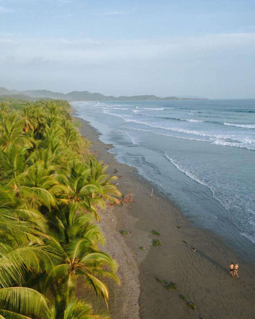 A drone shot of Sally and Brayden walking on a remote beach bordered by palm trees, with the calm Pacific Ocean waves lapping at the shore in Costa Rica