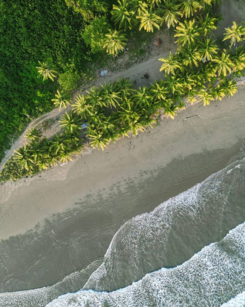 Top-down perspective of a curving beach with frothy waves meeting the lush palm tree edge, illustrating a peaceful tropical setting in Costa Rica