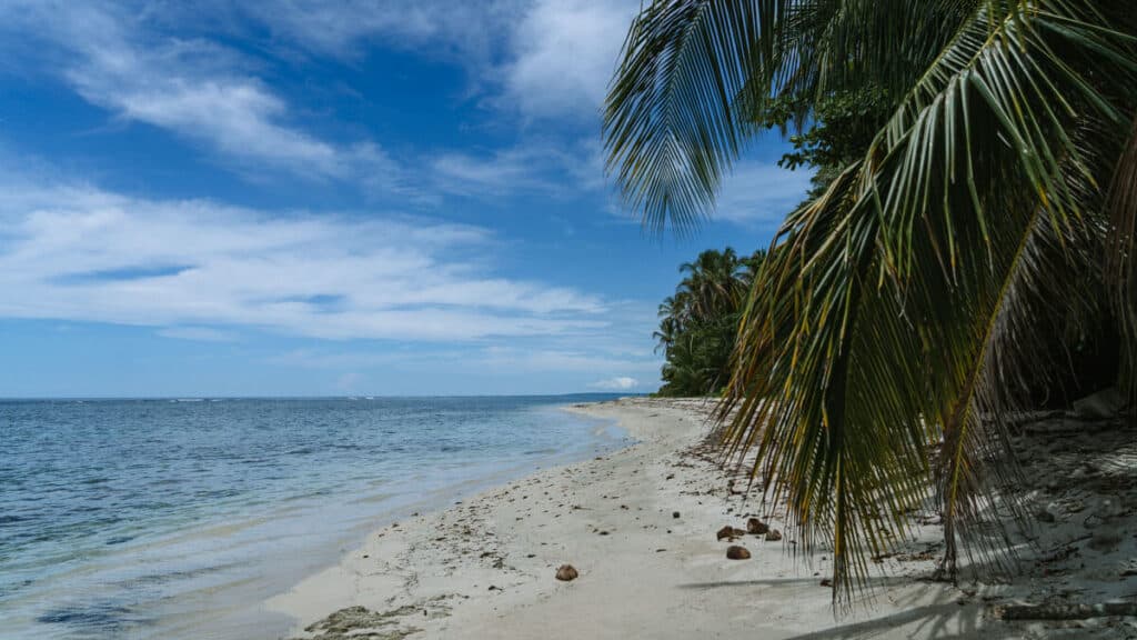 Tranquil beach scene in Cahuita, Costa Rica with the clear blue Caribbean Sea gently lapping the sandy shore and a foreground of lush palm fronds swaying in the breeze.