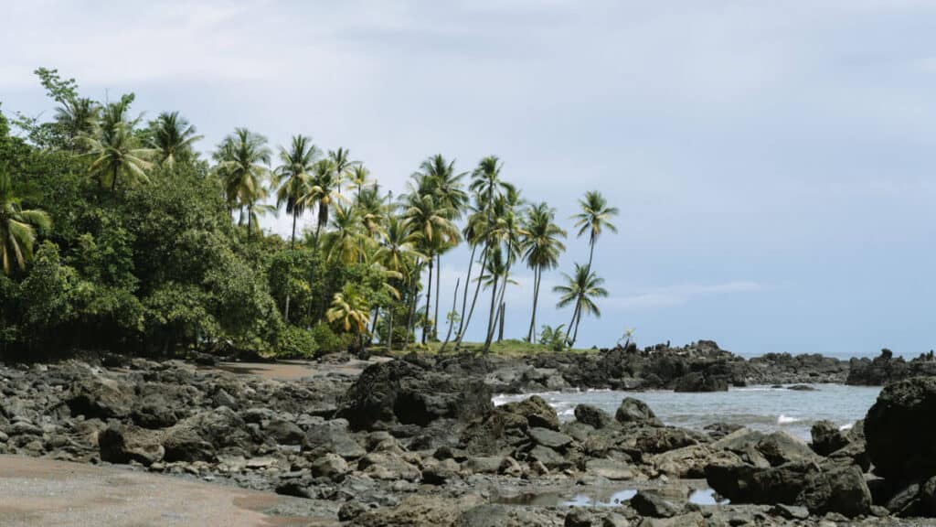 Rocky shoreline of Drake Bay with waves crashing against the boulders, and a backdrop of a palm tree-lined beach leading into the tropical forest.