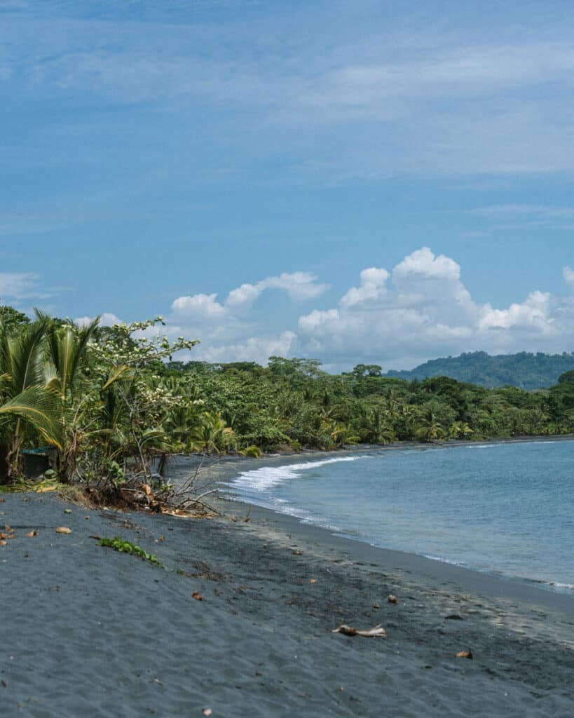 Tranquil black sand beach in Puerto Viejo with gentle waves, bordered by lush greenery and a clear blue sky.