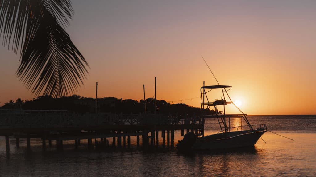 Silhouette of a fishing boat at sunset with a palm tree in the foreground at Half Moon Bay