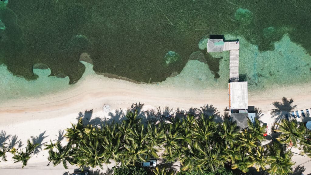 Aerial view of a lush palm grove and a wooden pier extending into the clear waters of Playa West End