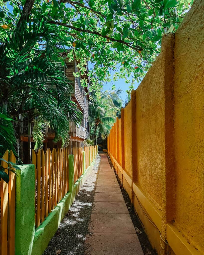 Roatan vs Utila: Which Honduran Island is Right for You? 23 A narrow path lined with a vibrant yellow wall on one side and a green picket fence on the other, leading through lush tropical foliage at Seabreeze Inn in West End