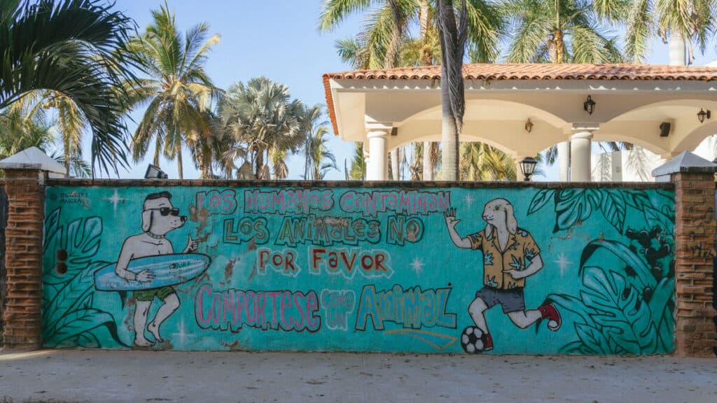 San Pancho Mexico Travel Guide: Tropical Bliss in Nayarit 23 A mural on a wall in San Pancho depicting a rabbit as a human kicking a soccer ball and a dog with sunglasses and a surfboard