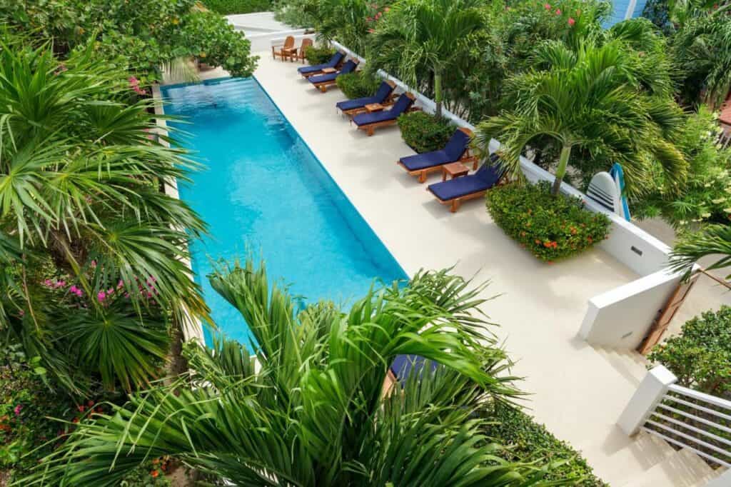 Where to Stay in Caye Caulker: 16 Options For All Budgets 14 A serene outdoor pool at Weezie’s Ocean Front Hotel in Caye Caulker, Belize, surrounded by lush palm trees and vibrant tropical plants, with navy blue cushioned wooden lounge chairs lined neatly along one side of the pool deck