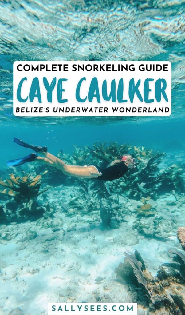 Caye Caulker Snorkeling Guide: Underwater Wonderland 23 Caye Caulker Snorkeling Guide: Underwater Wonderland