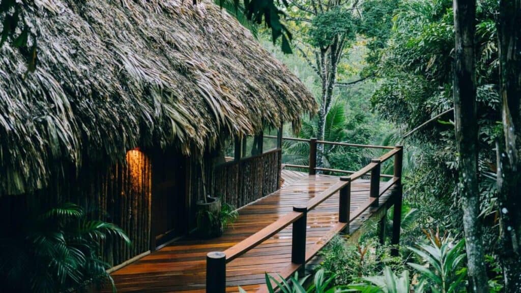 Where to Stay in San Ignacio Belize: Town or Jungle Lodge? 13 A palm thatched hut with a balcony overlooking a wall of green forest at Blancaneaux Lodge in San Ignacio Belize.