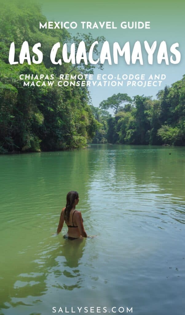 Las Guacamayas Chiapas: Eco Lodge in the Mexican Jungle 37 Las Guacamayas Chiapas Pinterest Pin