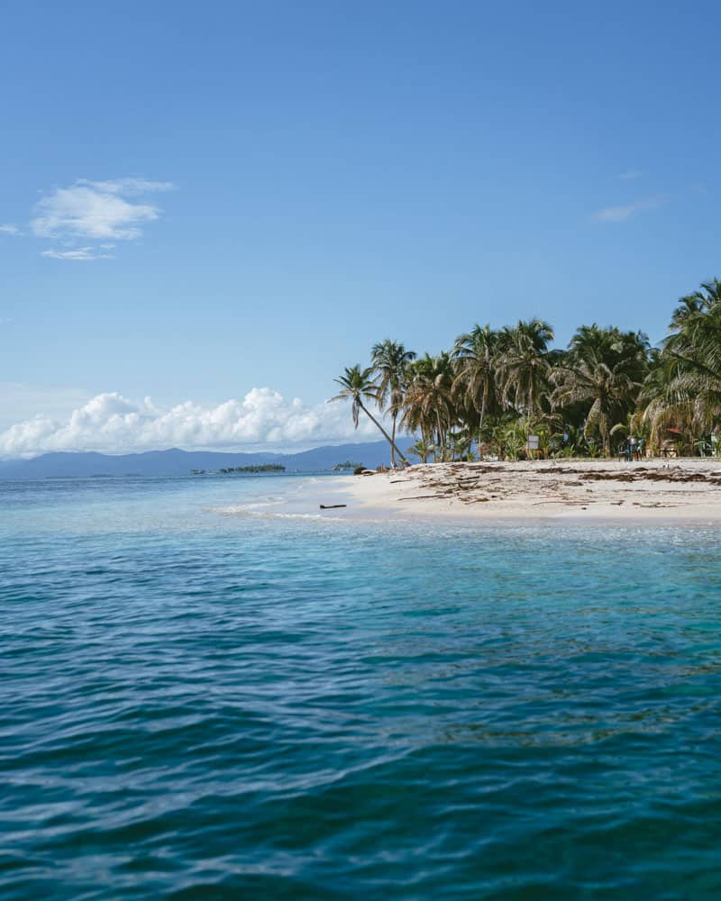 A tropical beach scene on the San Blas Islands, with the sandy shore of an island covered in palm trees meeting the calm, turquoise sea. 