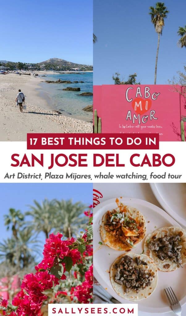 17 Best Things to Do in San Jose del Cabo Travel Guide 71 Things to do in San Jose del Cabo Pinterest pin